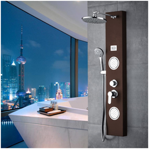 Glass Shower Panel System with Hand Shower